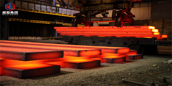 1695733120223261.jpg 1 (5).jpg