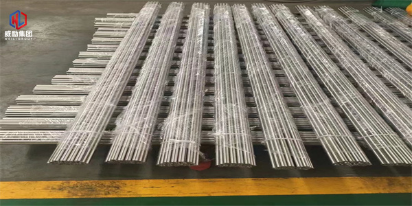 1703053559463538.jpg 1 (159).jpg