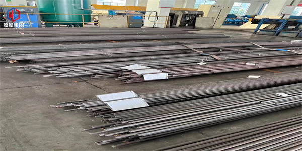 1709460056546168.jpg 1 (171).jpg